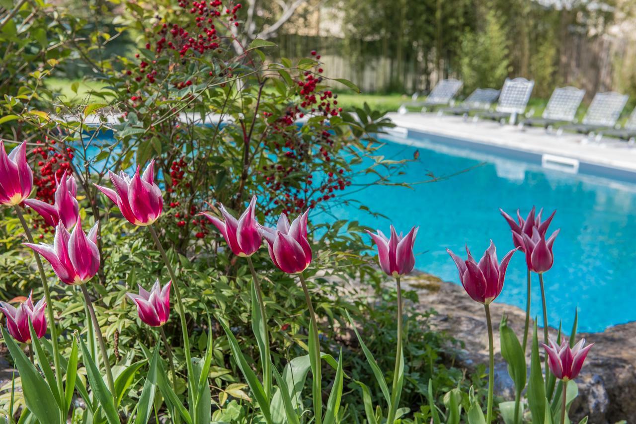 Relais Corte Rodeschi Camaiore Εξωτερικό φωτογραφία