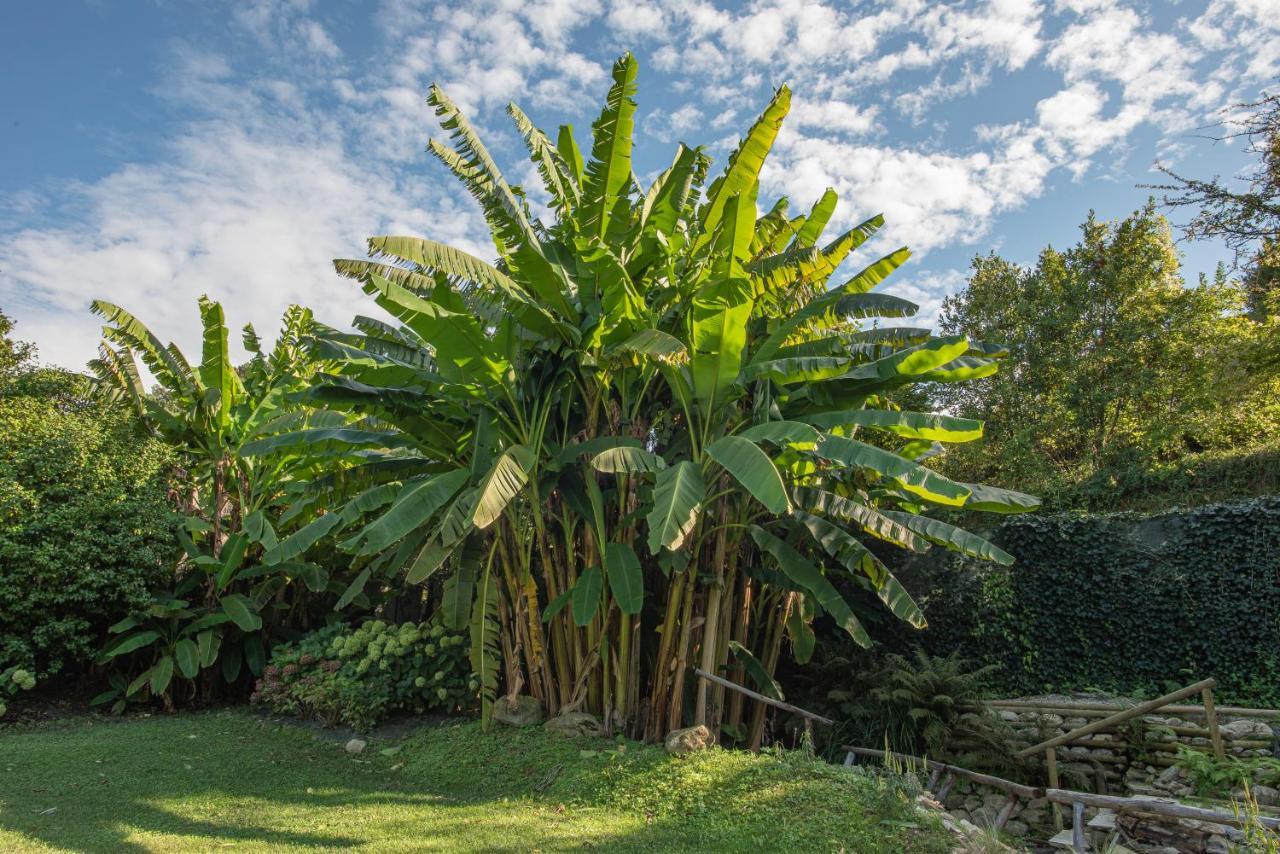 Relais Corte Rodeschi Camaiore Εξωτερικό φωτογραφία